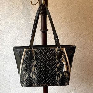 BRAHMIN ASHER LEATHER TOTE!